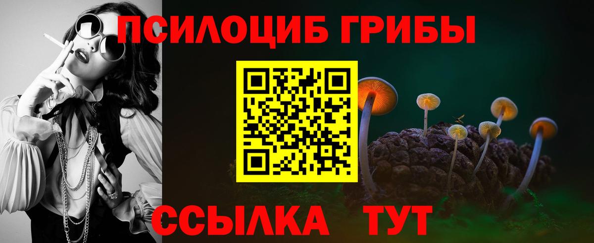 Якутск  Галлюциногенные грибы Cubensis  купить   Вход с VPN 